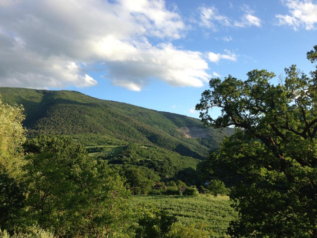 Agriturismo Nizzi Villa Assisi Esterno foto
